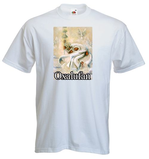 camisa Oxalufam